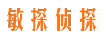 江南市侦探公司